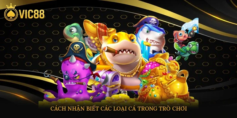 Cách nhận biết các loại cá trong trò chơi
