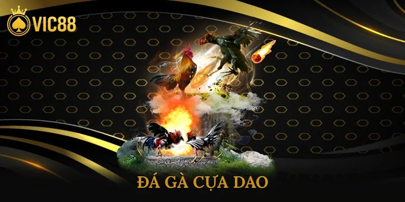 Đá Gà Cựa Dao