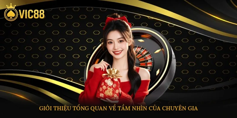 Giới thiệu tổng quan về tầm nhìn của chuyên gia