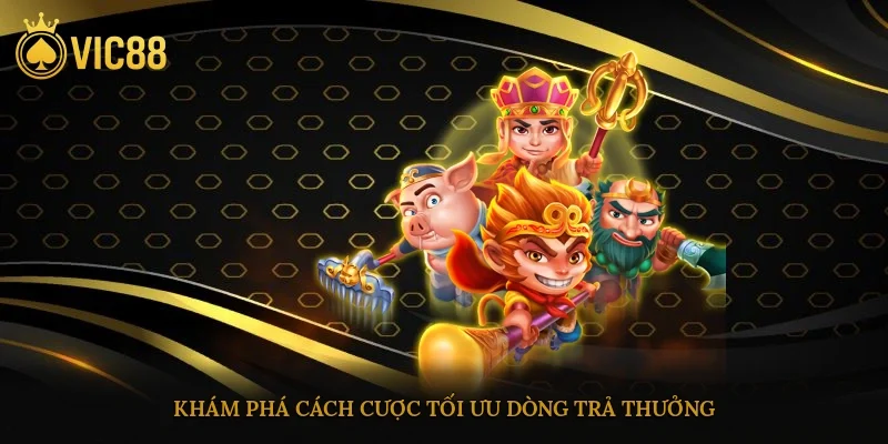 Khám phá cách cược, tối ưu dòng trả thưởng