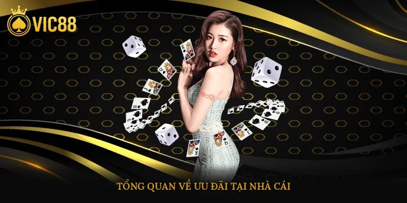 Tổng quan về ưu đãi tại nhà cái